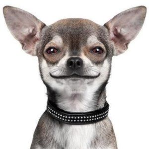 Meet your Posher, Jen